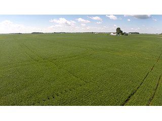 Property photo 8 - PRIME FARMLAND AUCTION - 716+/- ACRES OFFERED IN 8 TRACTS IN CASS & CARROLL COUNTIES